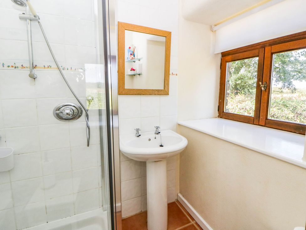 Shower room basin and shower