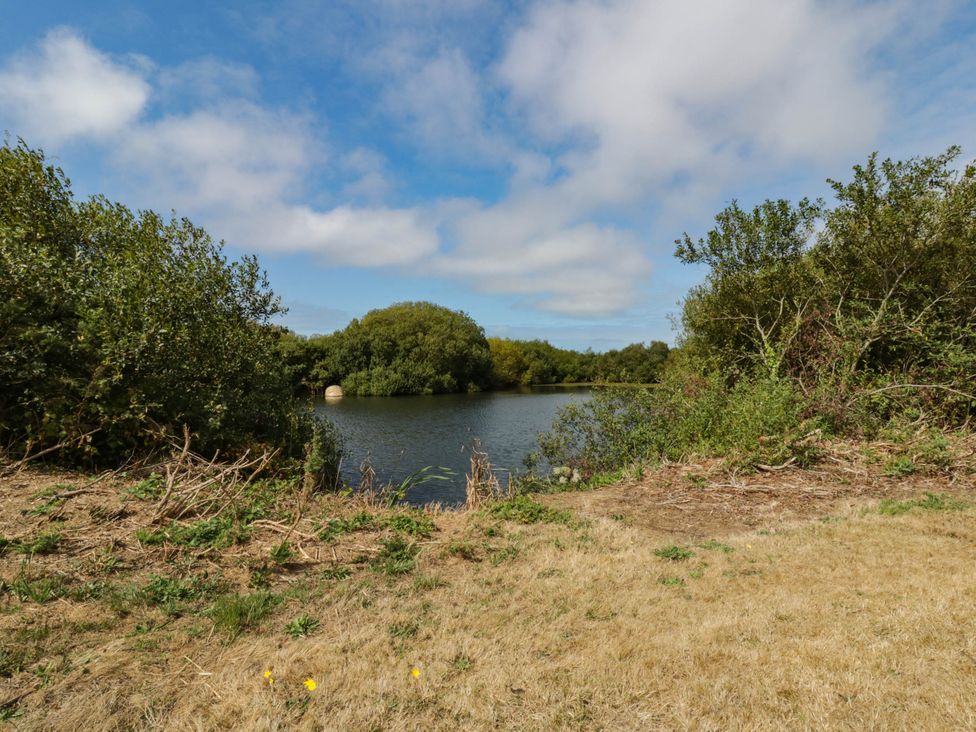Fishing lake surrounded by trees and grass